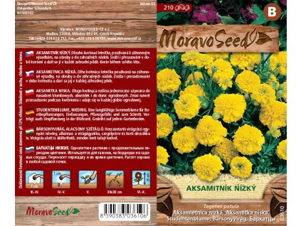 03610 Aksamitnik nizky