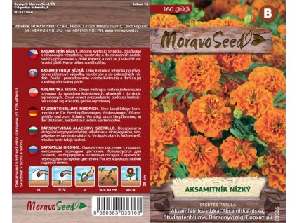 03616 Aksamitnik nizky