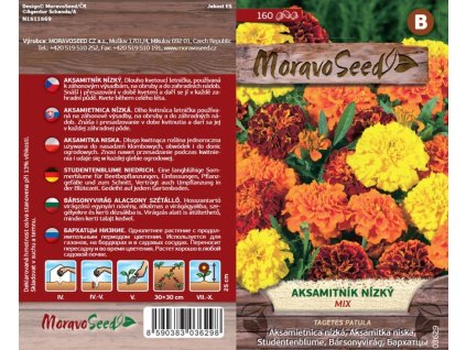 03629 Aksamitnik nizky