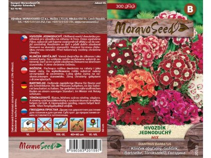 20159 Hvozdik jednoduchy MIX