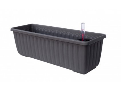 truhlik siesta antracit