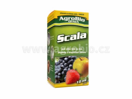 scala 10ml