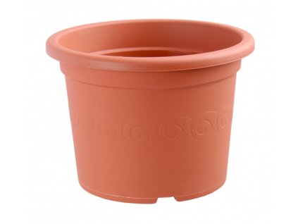 kvetinac narcis terakota