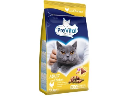 5140033df2c1c7d1eb32edca4dab1688