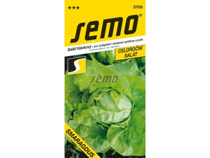 3705 semo zelenina salat hlavkovy smaragdus
