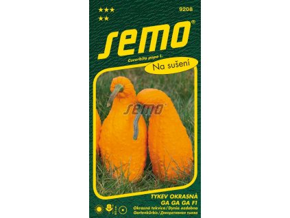 9208 semo kvetiny letnicky tykev okrasna ga ga ga