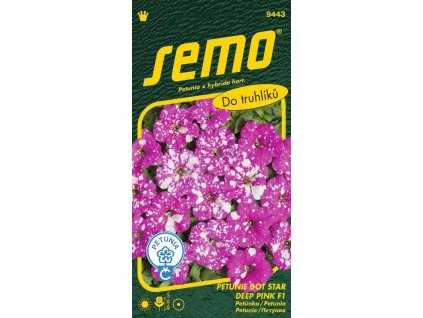 9443petunia deep pink star