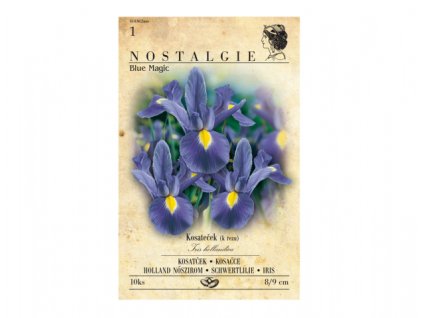 kosatecek nostalgie magic modry