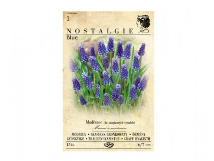 modrenec nostalgie modry