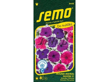 9445 semo kvetiny letnicky petunie velkokveta mistral picotee