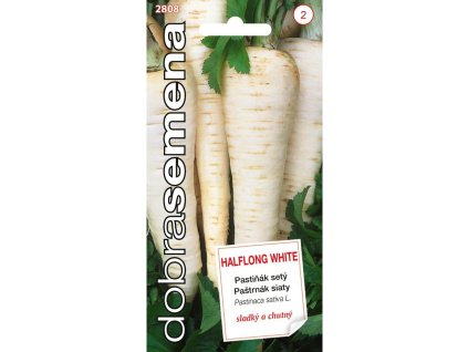 pastinak sety halflong white 3 g