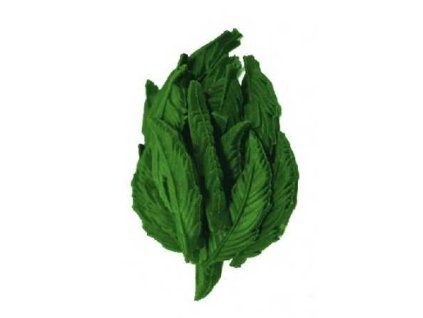 dentalni listecky mint snacks