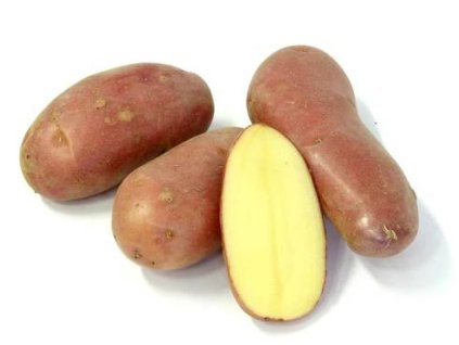 sadbove brambory cervene