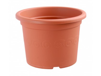 kvetinac narcis terakota