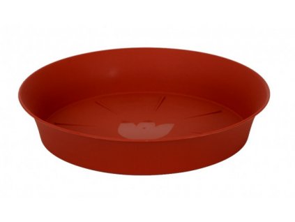 miska tulipan terakota