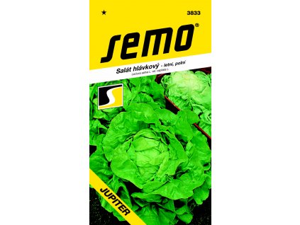 3833 salat hlavk