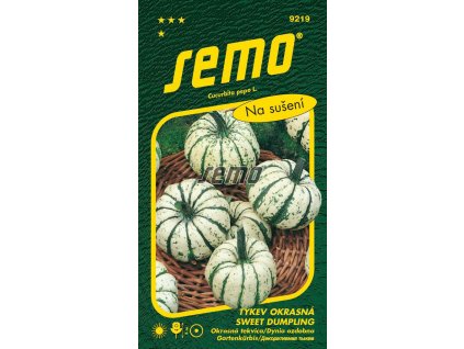 9219 semo kvetiny letnicky tykev okrasna sweet dumpling