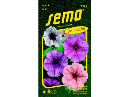 PETUNIE MNOHOKVĚTÁ  SMĚS S ORCHID HVĚZDOU