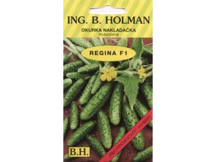 Okurka nakládačka F1 Regina  Holman ( hruboostná )