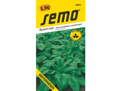 3904 spenat WINTERRIESEN