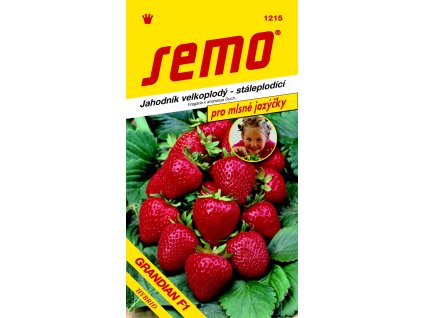 1215 jahodnik GRANDIAN F1