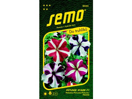 9444 petunie STARR F1