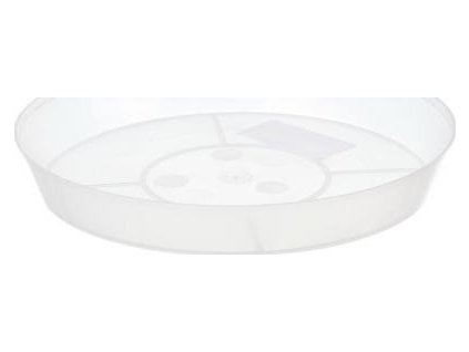 miska pod kvetina cira