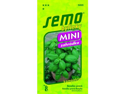 BAZALKA MAMMOLO GENOVESE