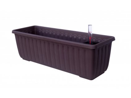 truhlik siesta cokolada