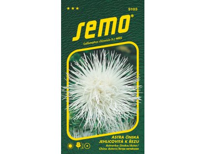 9103 astra cinska ELECTRIC BILA