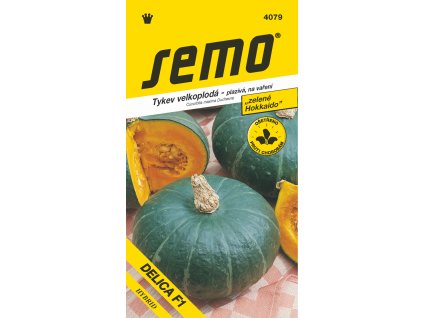 4079 tykev DELICA F1