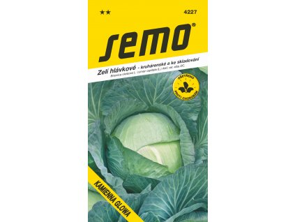 4227 zeli KAMIENNA GLOWA