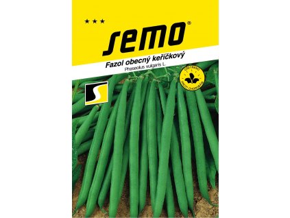 0901 fazol keric