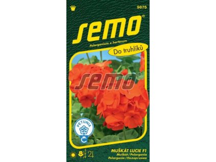 9875 semo kvetiny trvalky muskat paskaty lucie