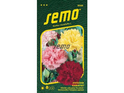 9226 semo kvetiny letnicky hvozdik karafiat smes