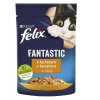 FELIX Fantastic kapsička Adult s kuřetem v želé 85 g