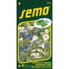9973 semo kvetiny letnicky smes letnicek modrobile nebe