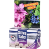silvatabs boruvky a rododendrony