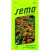 5942 MESICEK LEK