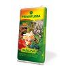 00234A PF Raselina 1Ol 8594005008694