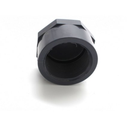 PVC plug 2" INT. thread