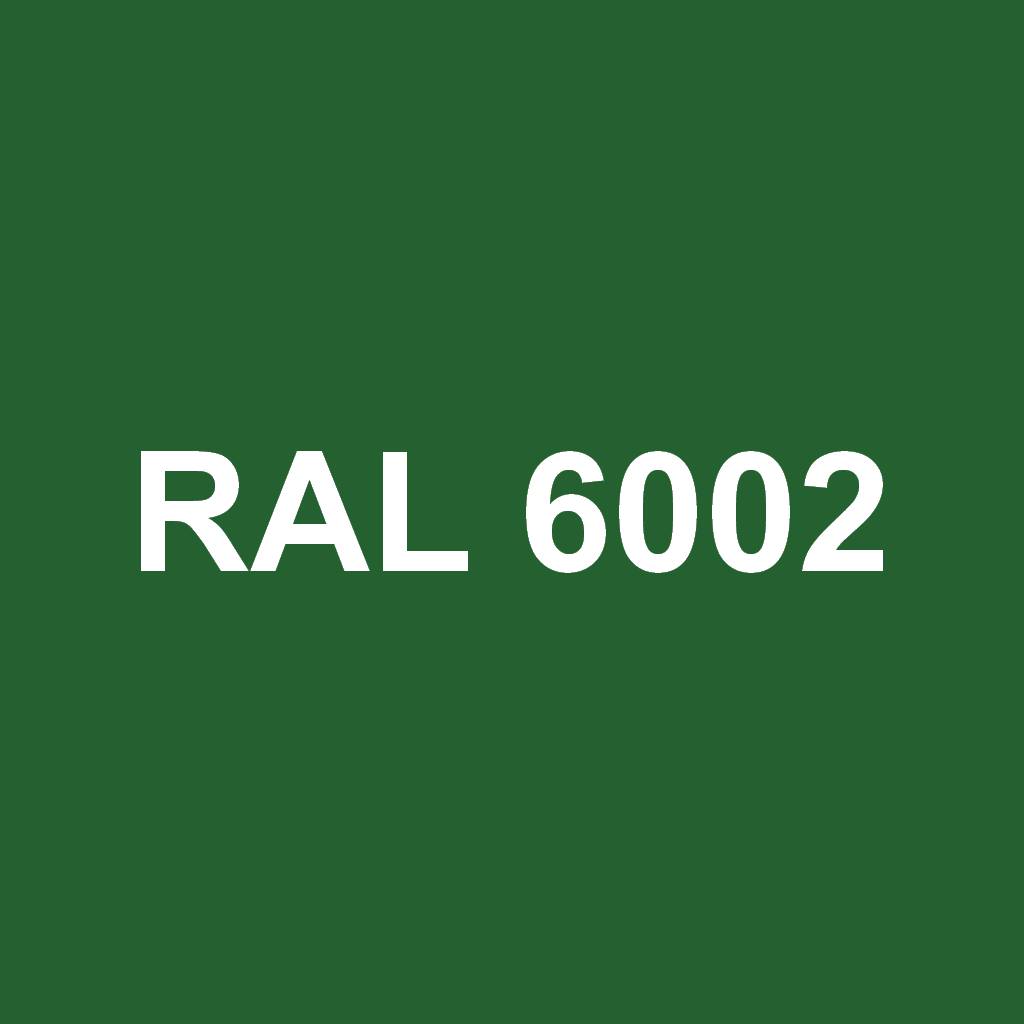 RAL 6002