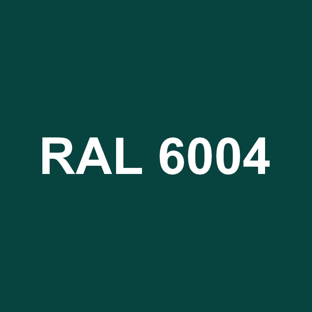 RAL 6004