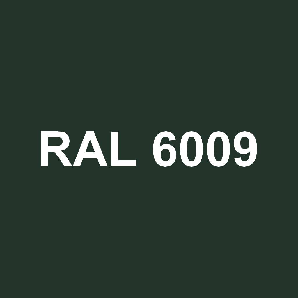 RAL 6009