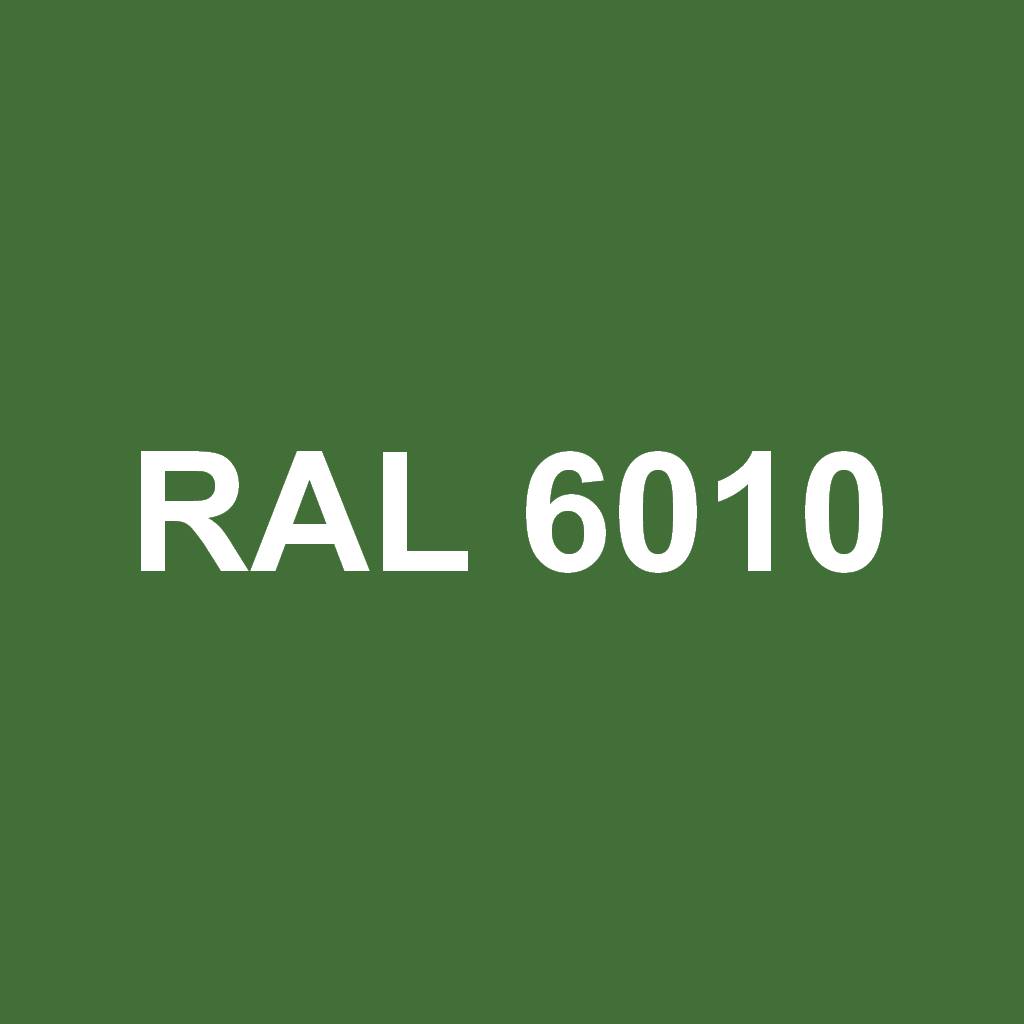 RAL 6010