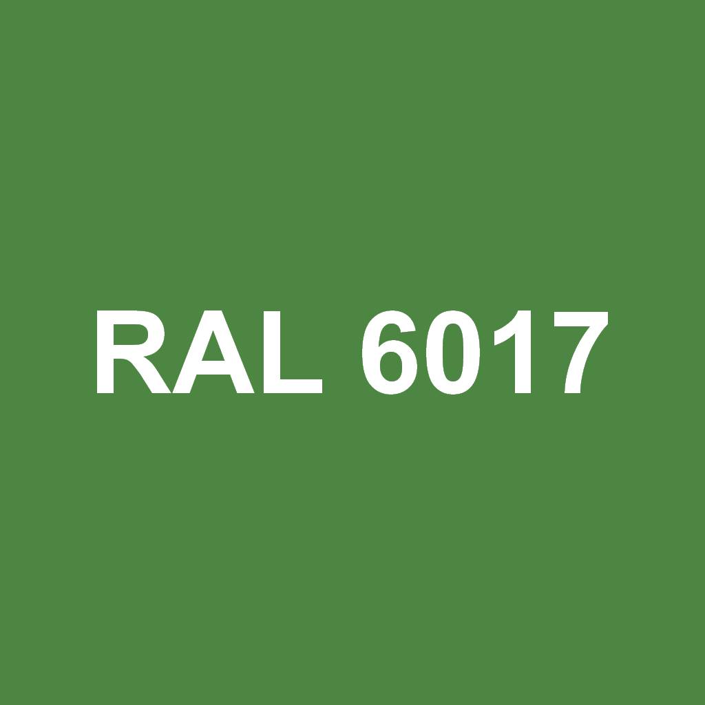 RAL 6017