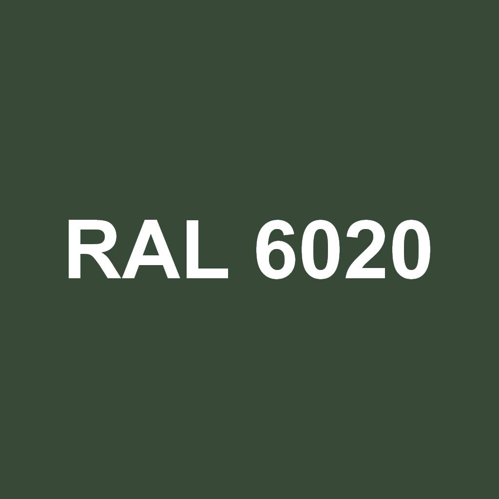 RAL 6020