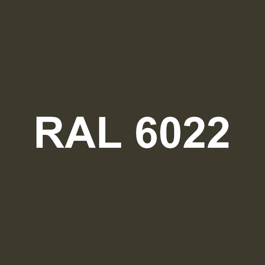 RAL 6022