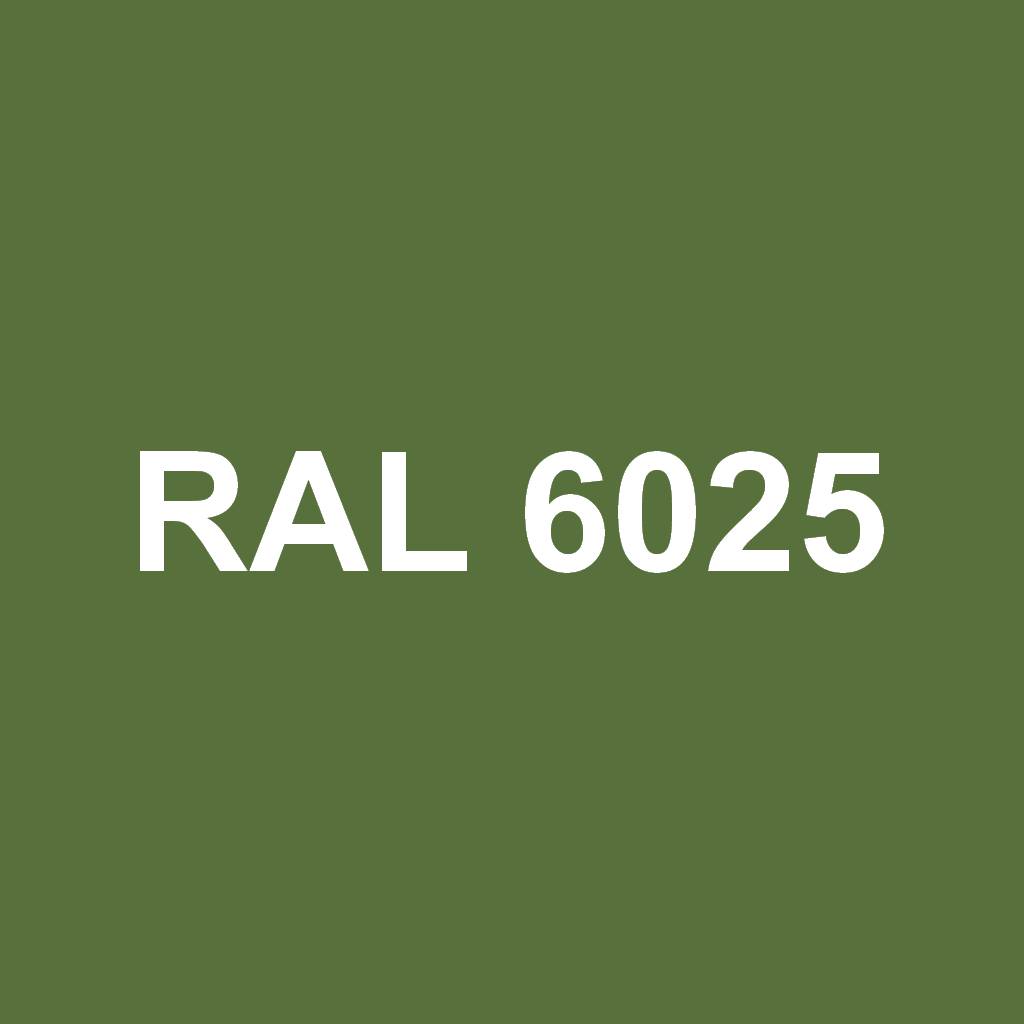 RAL 6025