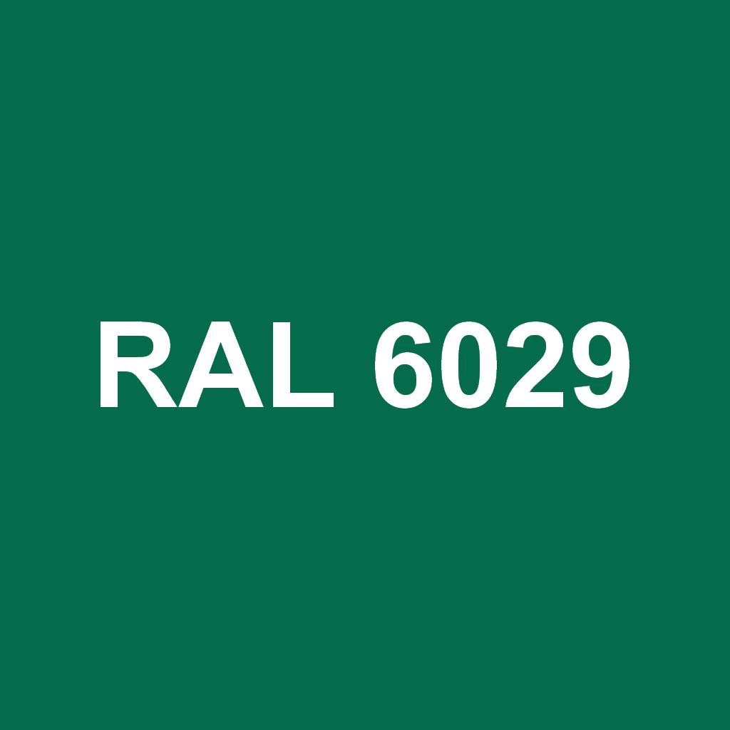 RAL 6029